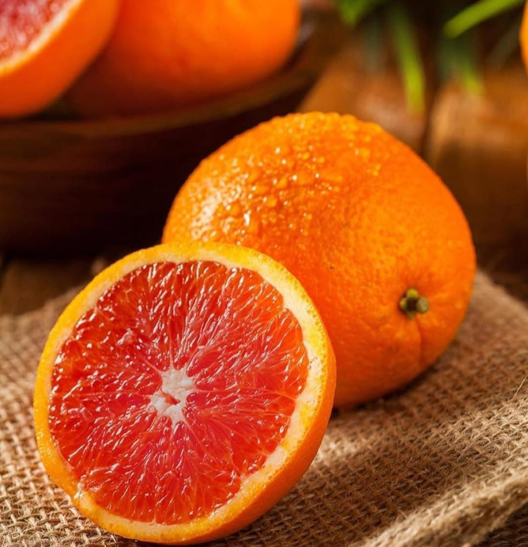 Cara Cara Navel Red Orange Graft
